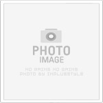 從幼教老師到酒店公關：轉型之路，迎接全新挑戰